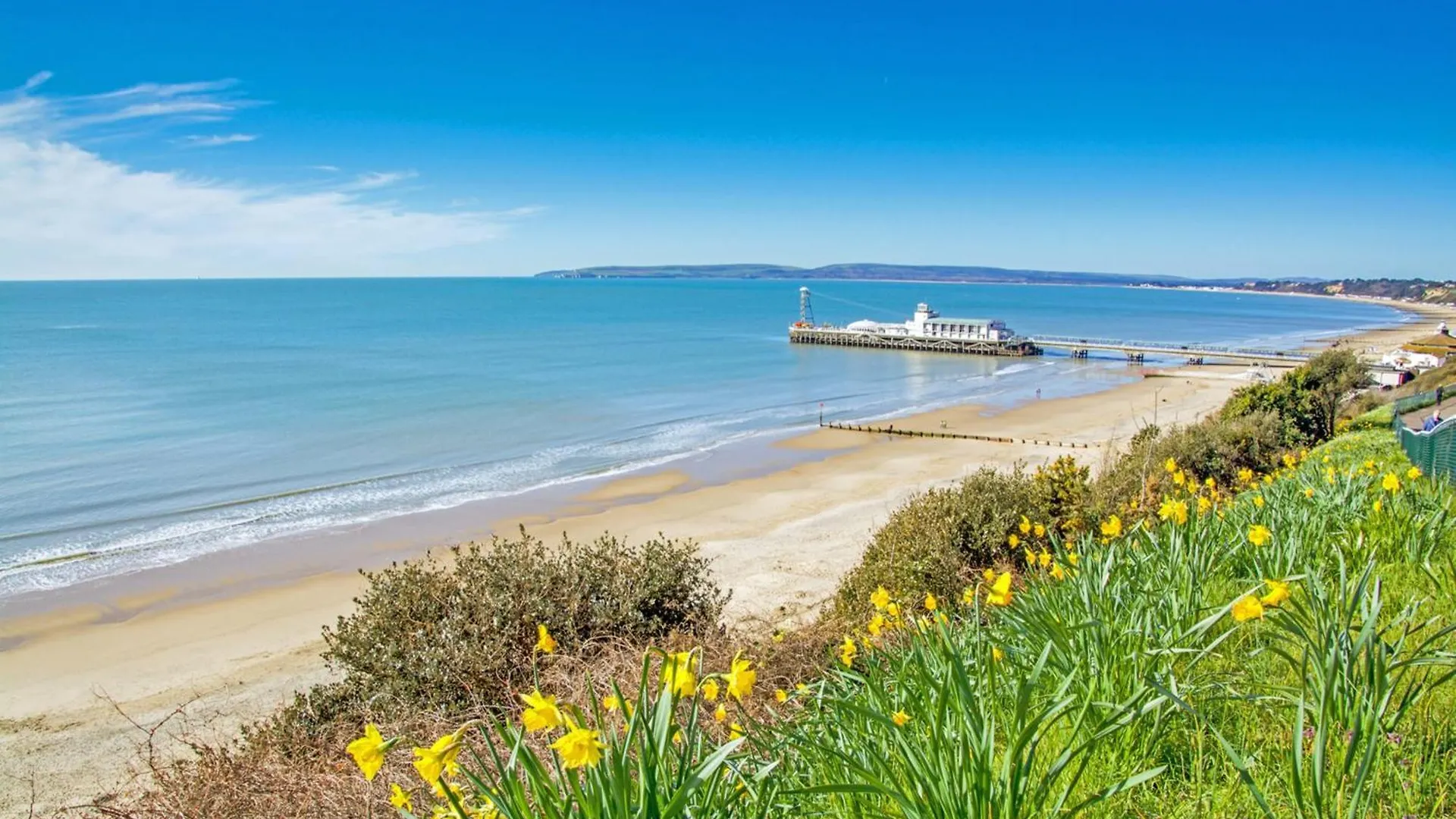 Holiday home Bournecoast: Manor House-Pool-Spa-Cinema Room-8399 Bournemouth United Kingdom